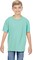 Comfort Colors® Garment Dyed Youth Heavyweight Crewneck Short Sleeve T-Shirt